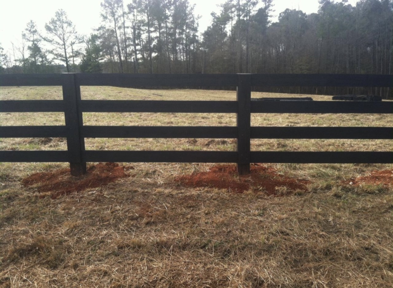Close Up Creosote Fence